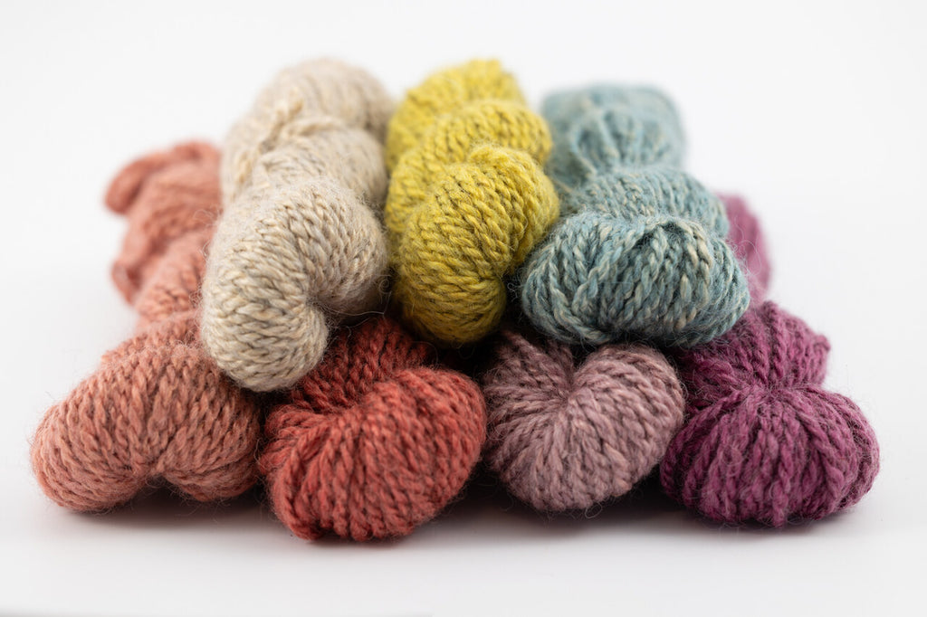 Group shot of teeswater and muga silk skeins. Colorful!