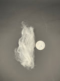 Colorado Pure, Mill Scoured Wool - White Cormo
