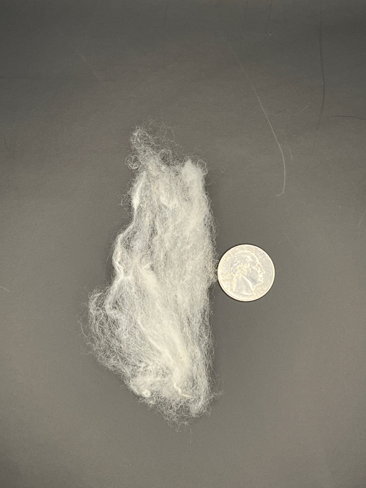 Colorado Pure, Mill Scoured Wool - White Cormo