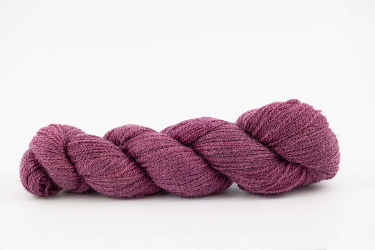 A skein of a blend of corriedale and gotland wool naturally dyed with cochineal to a purple color.