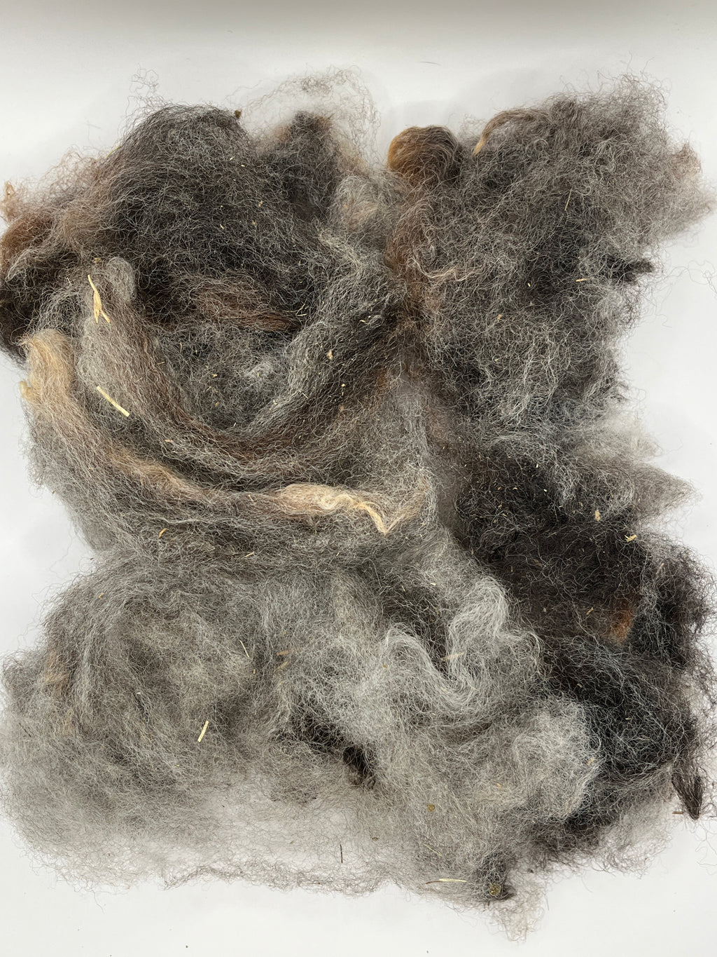 Colorado Pure, Mill Scoured Wool - Wenselydale, Dark Gray