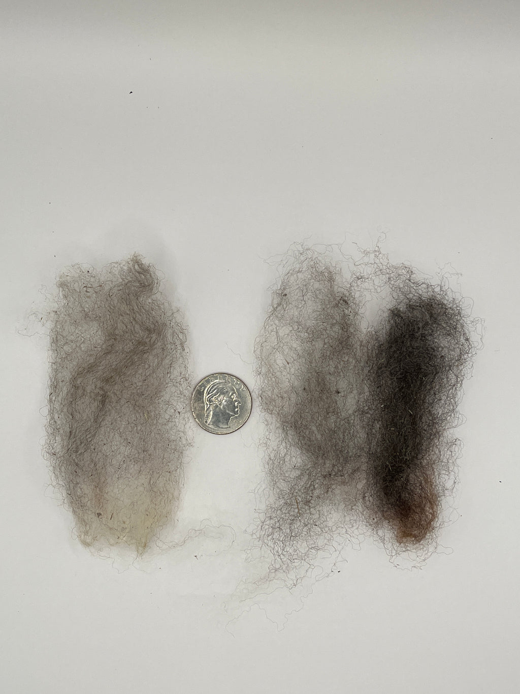 Colorado Pure, Mill Scoured Wool - Wenselydale, Dark Gray
