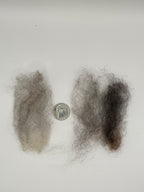 Colorado Pure, Mill Scoured Wool - Wenselydale, Dark Gray