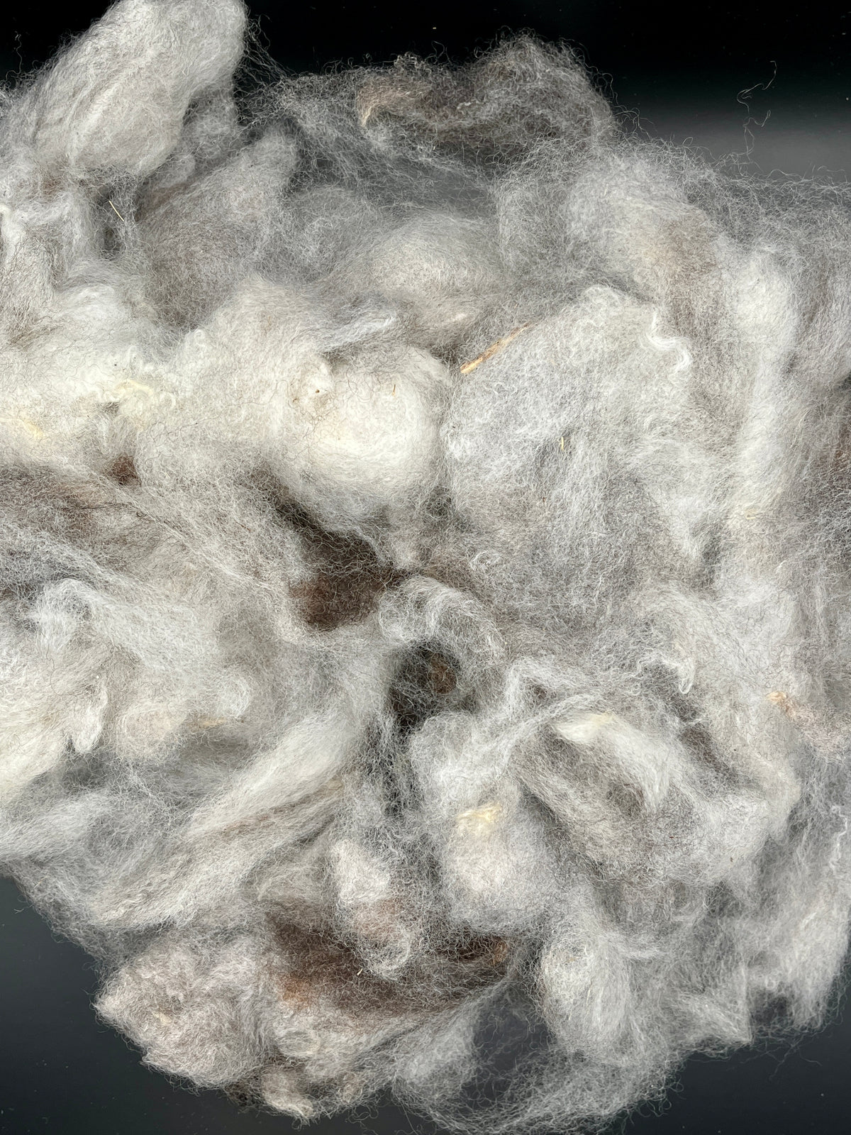 A close-up of fluffy white and light gray Wensleydale wool against a dark background.