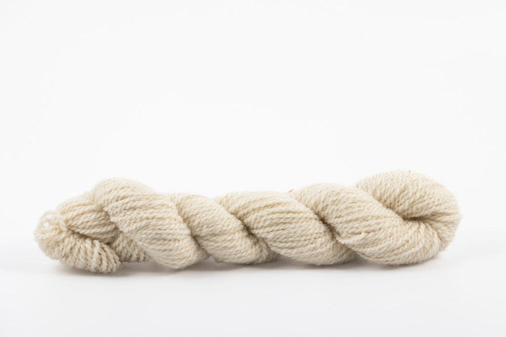 Colorado Pure | Blue Faced Leicster - Worsted